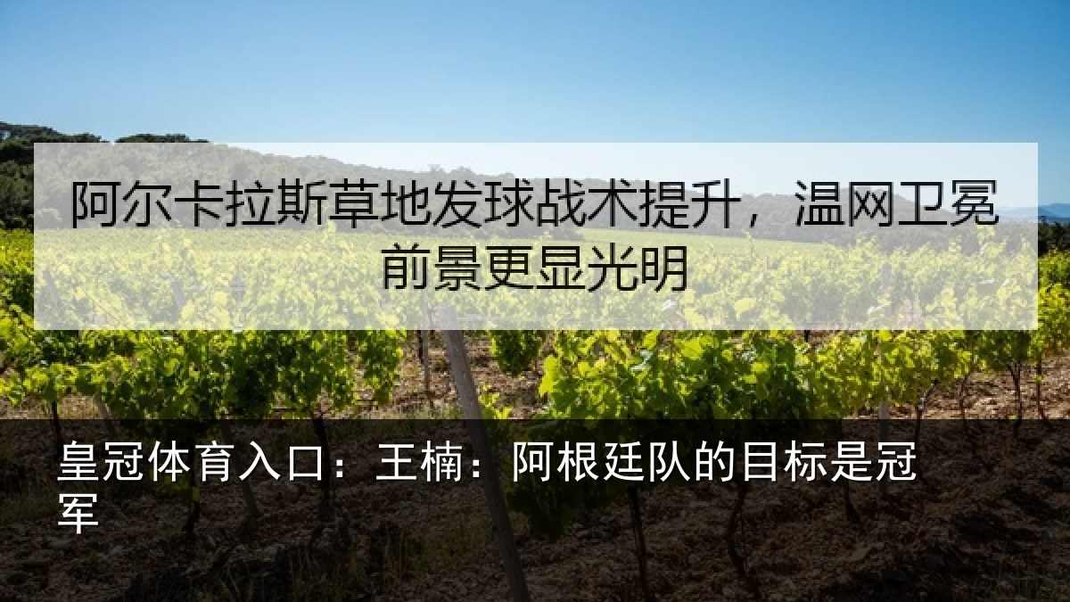 皇冠体育入口:王楠:阿根相关情况